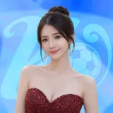 下载指引